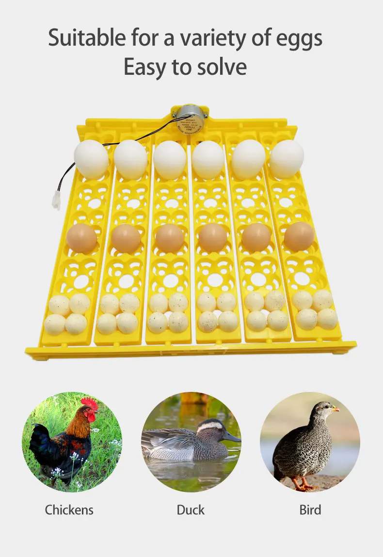 156 Bıldırcın Yumurtası Tepsi Kuluçka Turner Otomatik Olarak Yumurta Kümes Hayvanları Kuluçka Ekipmanları Civciv Ördekler ve Diğer Kümes Hayvanları Kuluçka 2