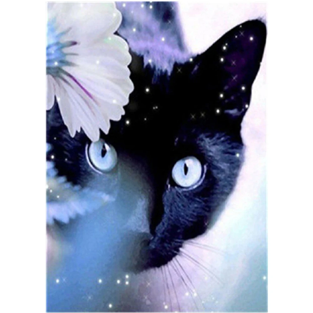 5D DİY elmas boyama hayvan küçük siyah kedi tam elmas yuvarlak elmas mozaik manzara resim ev duvar dekorasyonu hediye