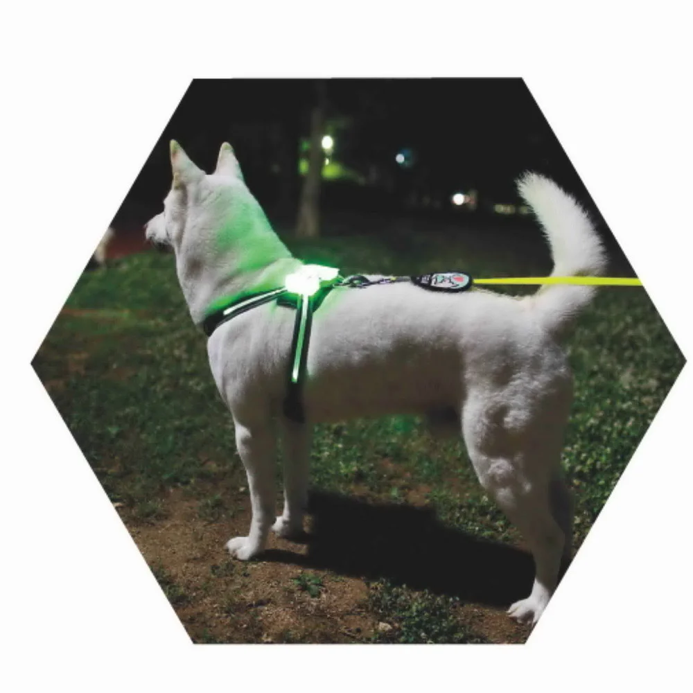 led usb köpek tasması köpek aksesuarları büyük Yansıtıcı Koşum Köpekler için 2021 1