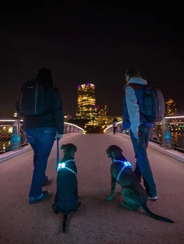 led usb köpek tasması köpek aksesuarları büyük Yansıtıcı Koşum Köpekler için 2021 3