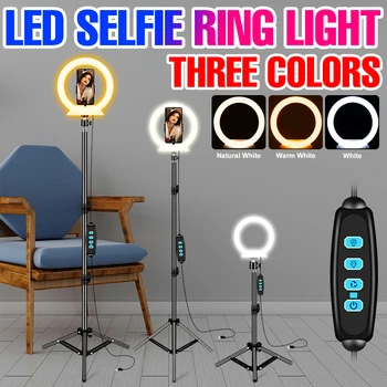 Selfie Lamba LED 5V halka ışık Canlı Dolgu ışığı tripod standı Halka Yenilikler Fotografik Aydınlatma Masa Lambası Canlı Stüdyo